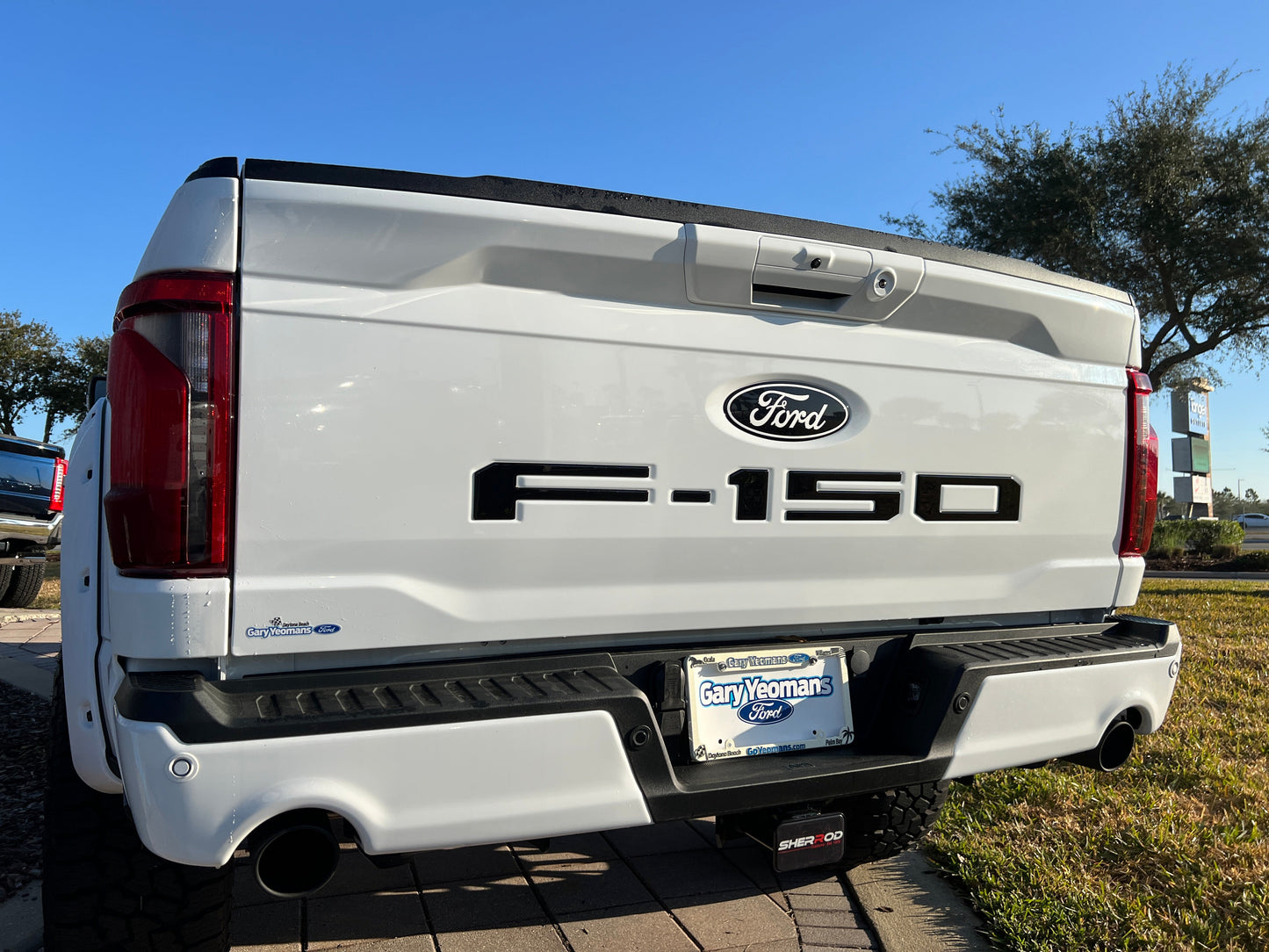 Tailgate Letter Inserts Fits 2021-2026 Ford F-150