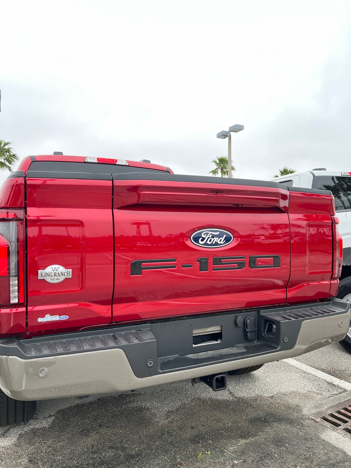 Tailgate Letter Inserts Fits 2021-2026 Ford F-150