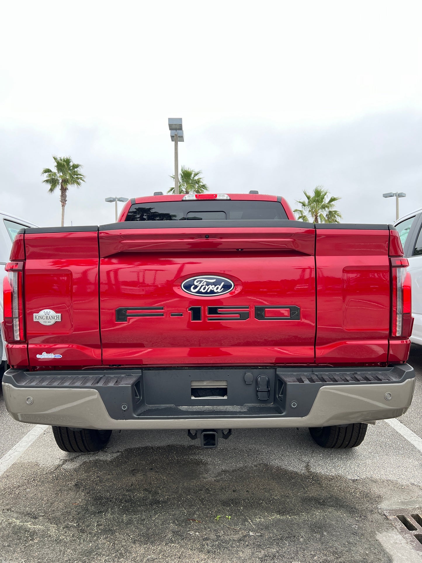 Tailgate Letter Inserts Fits 2021-2026 Ford F-150