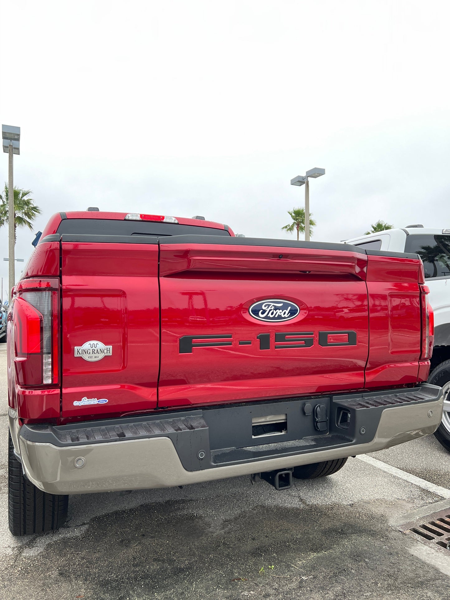 Tailgate Letter Inserts Fits 2021-2026 Ford F-150