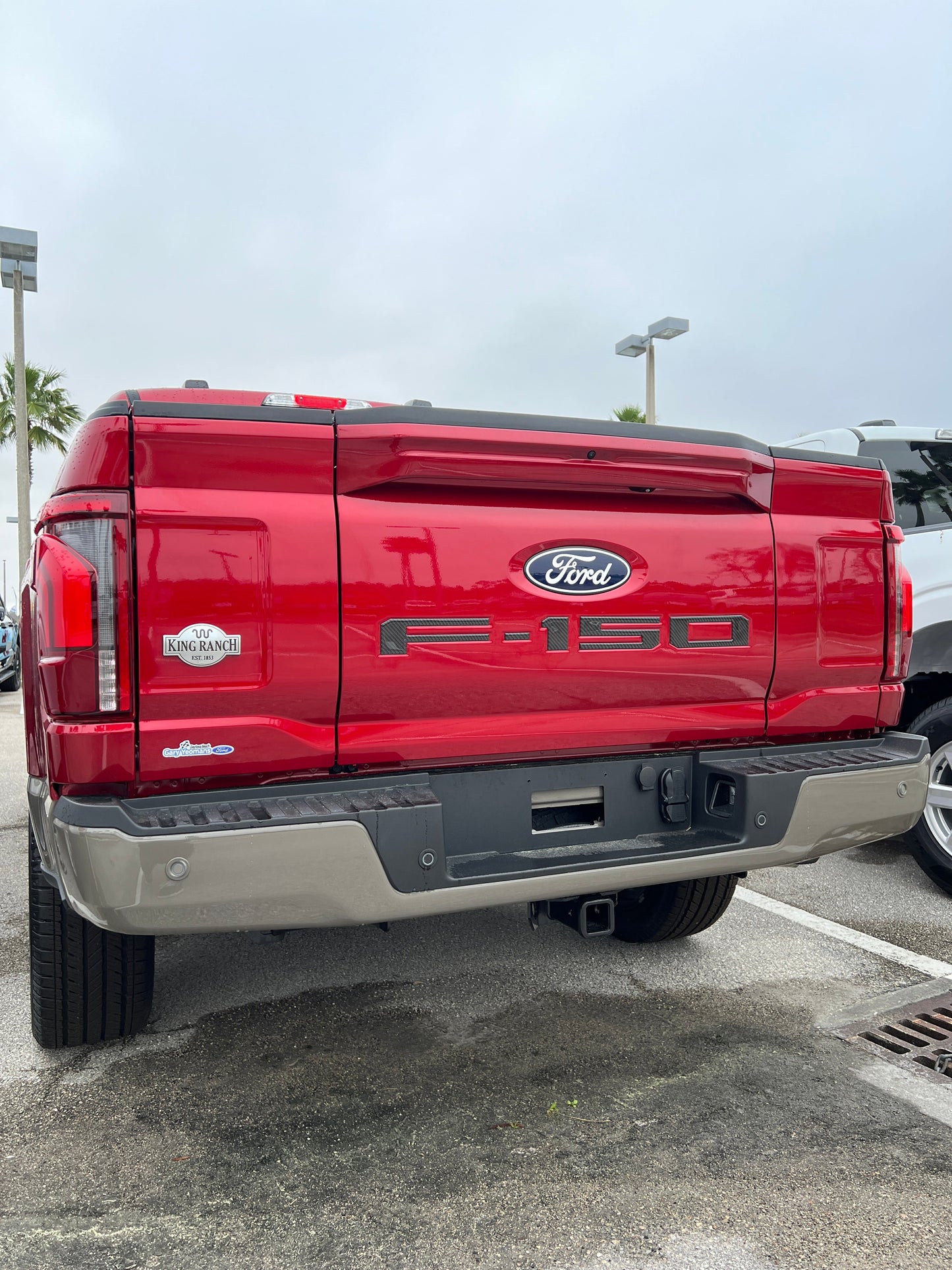 Tailgate Letter Inserts Fits 2021-2026 Ford F-150