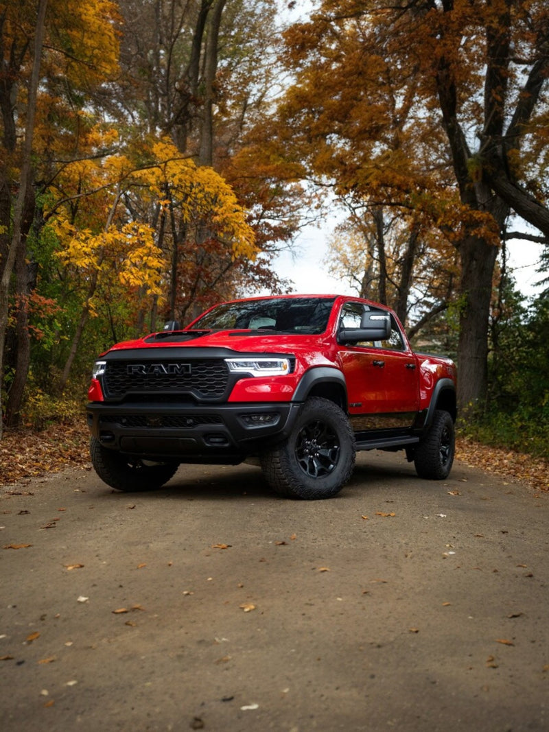 Ram